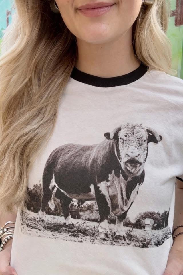 Hereford Ringer